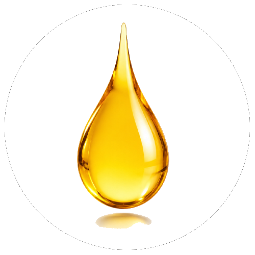 Olio di pesce