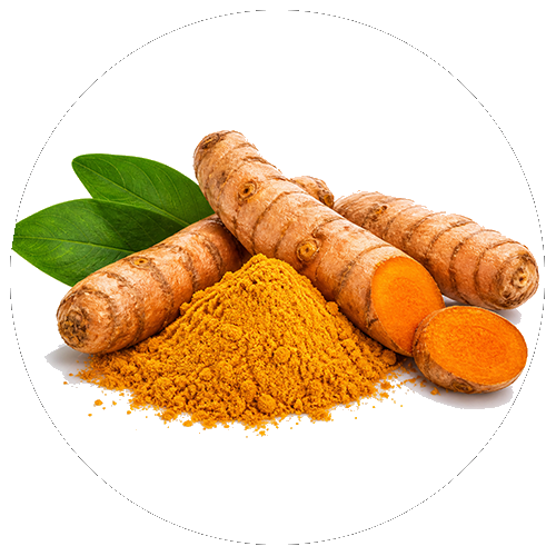 Curcuma