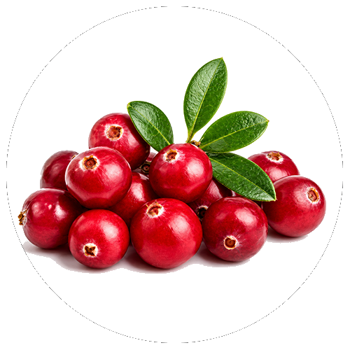 Mirtillo rosso