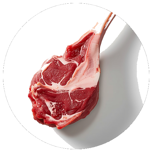 Carne di agnello
