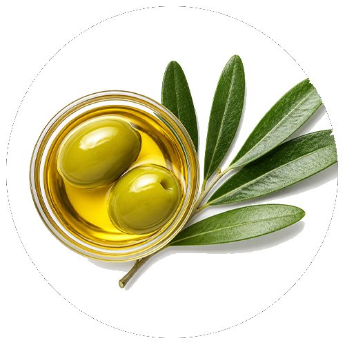 Olio vegetale
