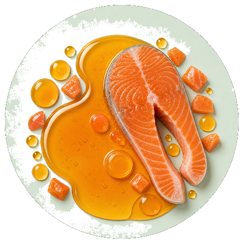 100% olio di salmone norvegese